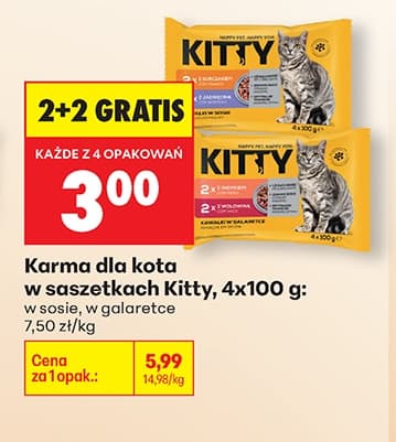 karma dla kota w saszetkach w sosie w galarecie