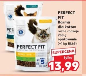 karma dla kotów różne rodzaje
