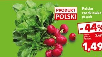 polska rzodkiewka