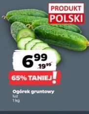 ogórek gruntowy