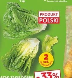 sałata rzymska mini