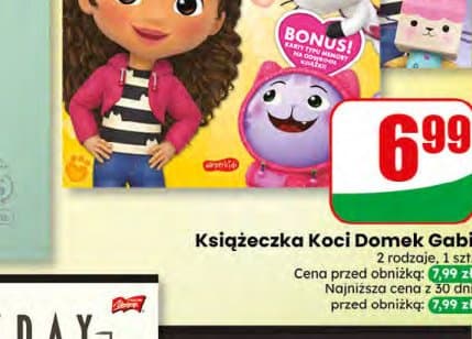 Książeczka Koci Domek Gabi