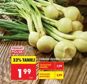 cebula dymka, pęczek