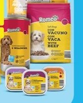 Wszystkie artykuły Romeo