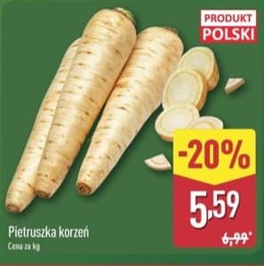 pietruszka korzeń