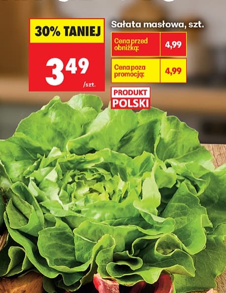 sałata masłowa