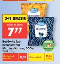 borówka lub brzoskwinia mrożona