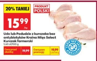 udo lub podudzie z kurczaka bez antybiotyków