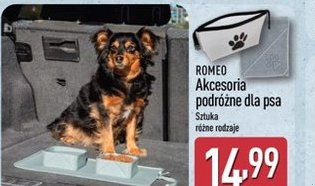 akcesoria podróżne dla psa