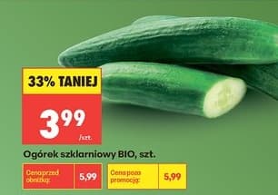 ogórek szklarniowy BIO