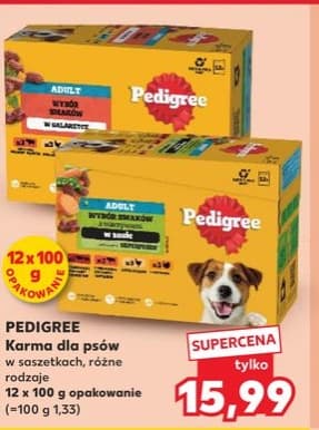 karma dla psów różne rodzaje