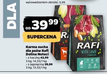 karma sucha dla psów