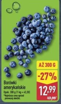 borówki amerykańskie XXL