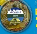 antipasti