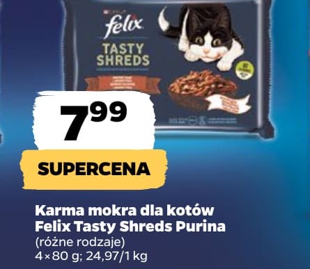 karma mokra dla kotów