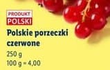 porzeczki czerwone