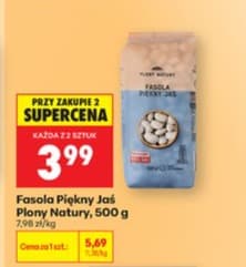 fasola piękny jaś