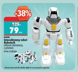 interaktywny robot Robotech zdalnie sterowany