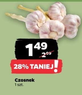 czosnek