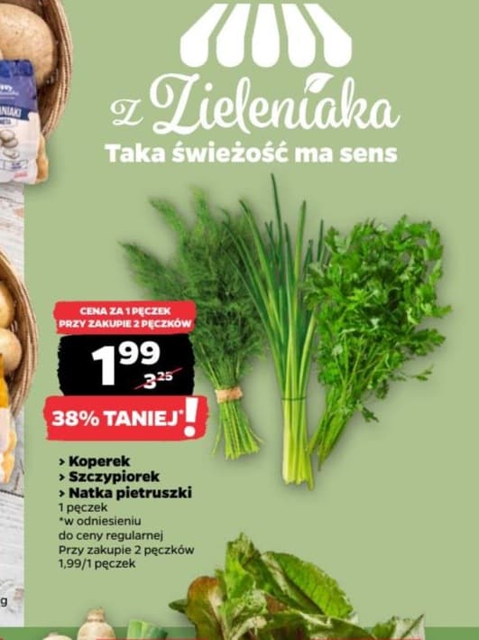 koperek / szczypiorek / natka pietruszki
