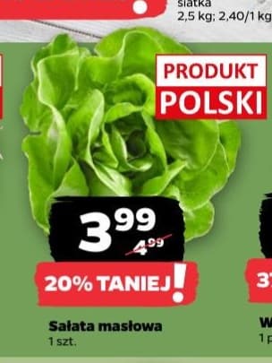 sałata masłowa