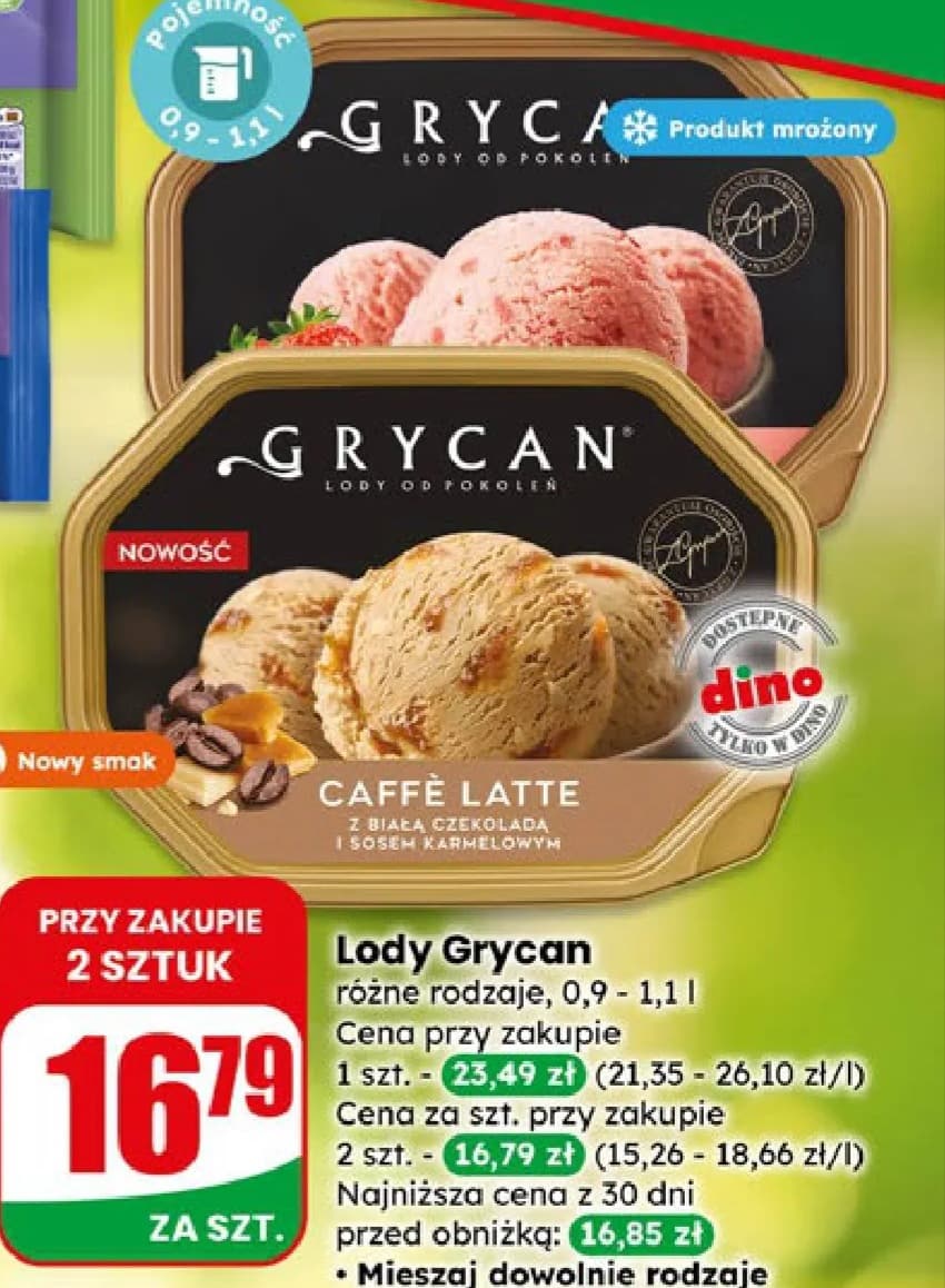 lody różne rodzaje