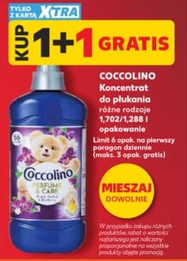 koncentrat do płukania różne rodzaje