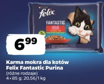 karma mokra dla kotów różne rodzaje
