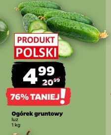Zapis źródłowy: ogórek gruntowy